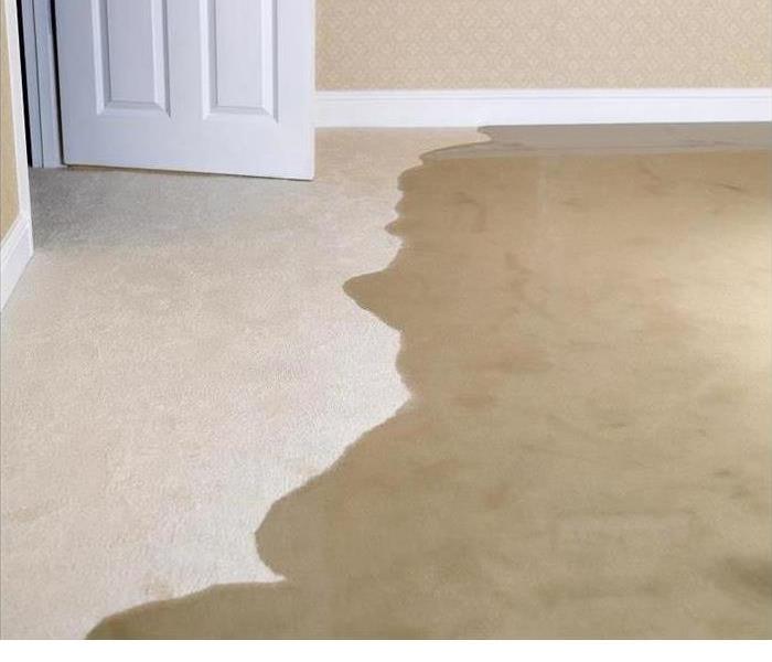 Water damaged carpet 